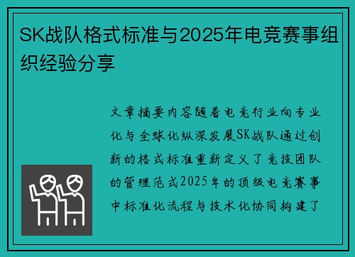 SK战队格式标准与2025年电竞赛事组织经验分享